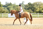 SBM_007519