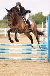SBM_024334