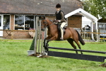 S33 - Working Hunter Pony portfolio