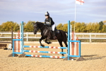 SBM_000696