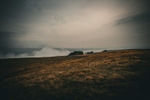 DSCF4360