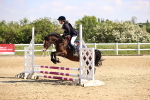 SBM_000334