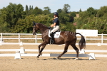 SBM_003719