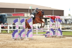 SBM_006201