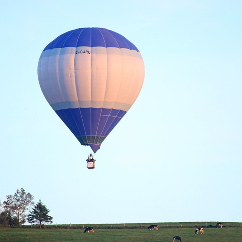 Atlantic International Balloon Festival Sussex New Brunswick Canada