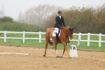 SBM_002082