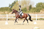 SBM_017493