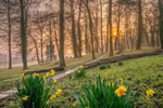 z2879 Spring Morning, Appley