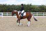 SBM_003595