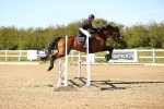 SBM_003390