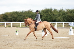 SBM_009090