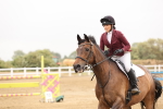 Class 6 - Senior Newcomers 1.10m portfolio