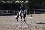 BPP_8739