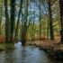 Along the Brook