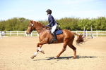 SBM_003028