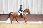 SBM_002385