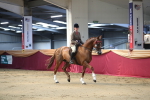 SBM_02156