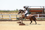 SBM_000979