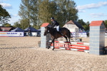 SBM_27993