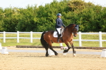 SBM_007036