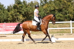 SBM_012362