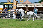 SBM_06068