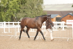 SBM_07752