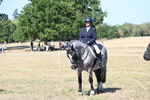 WJ6_9003