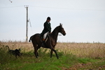WJ6_9387