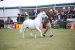 SBM_09834