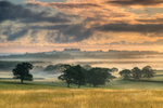 z1885 Morning Mist over Ashey