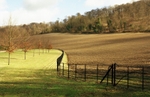 Wellground Farm I