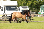 SBM_00868