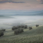 Landscape-062