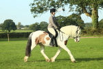 SBM_59847