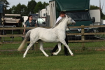 SBM_00608