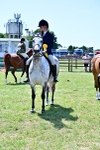 SBM_17521