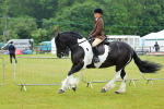SBM_00940