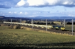 1st March 2010