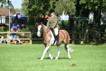 SBM_47137