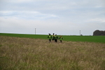 WJ7_9762