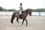 SBM_01451
