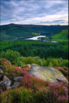 Ladybower Summer