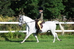 Class 1: Novice Working Hunter Pony portfolio