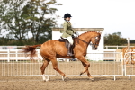 SBM_00662