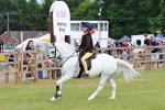 SBM_09593