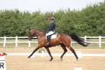 SBM_006238