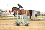 SBM_003335