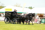SBM_06618