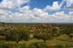Extremadura dehesa
